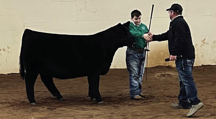 Tucker Jacobs won grand champion in the heifer category at a recent livestock show.