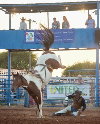 A cowboy gets up out of the way of a bucking bronc. 
